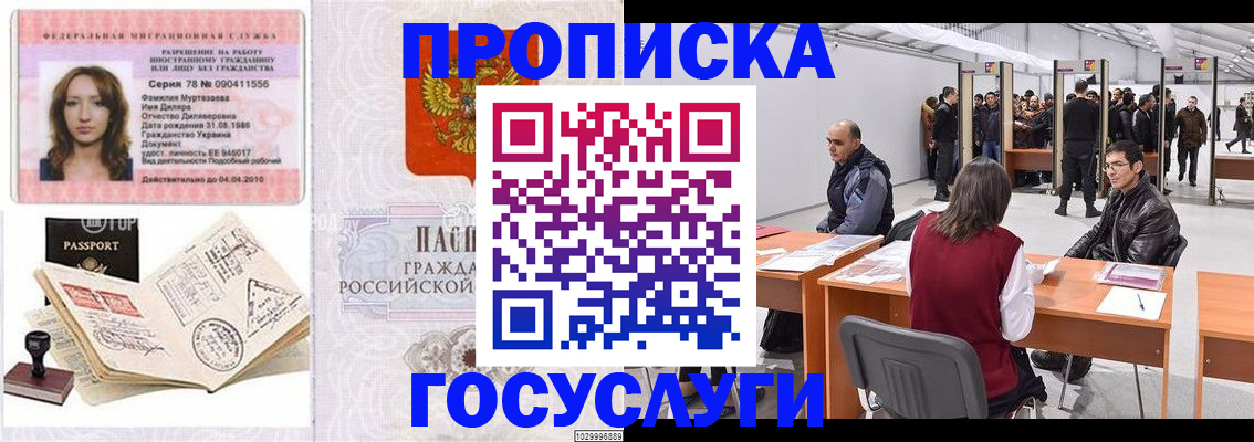 прописка гарантия в Кингисеппе